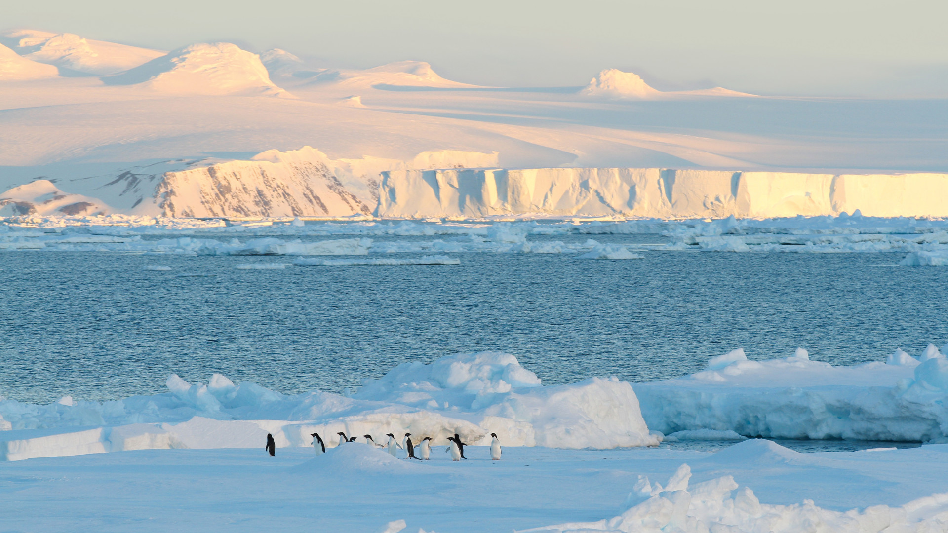 Aerial view of McMurdo Station on Ross Island Antarctica representing US military and research presence on the continent