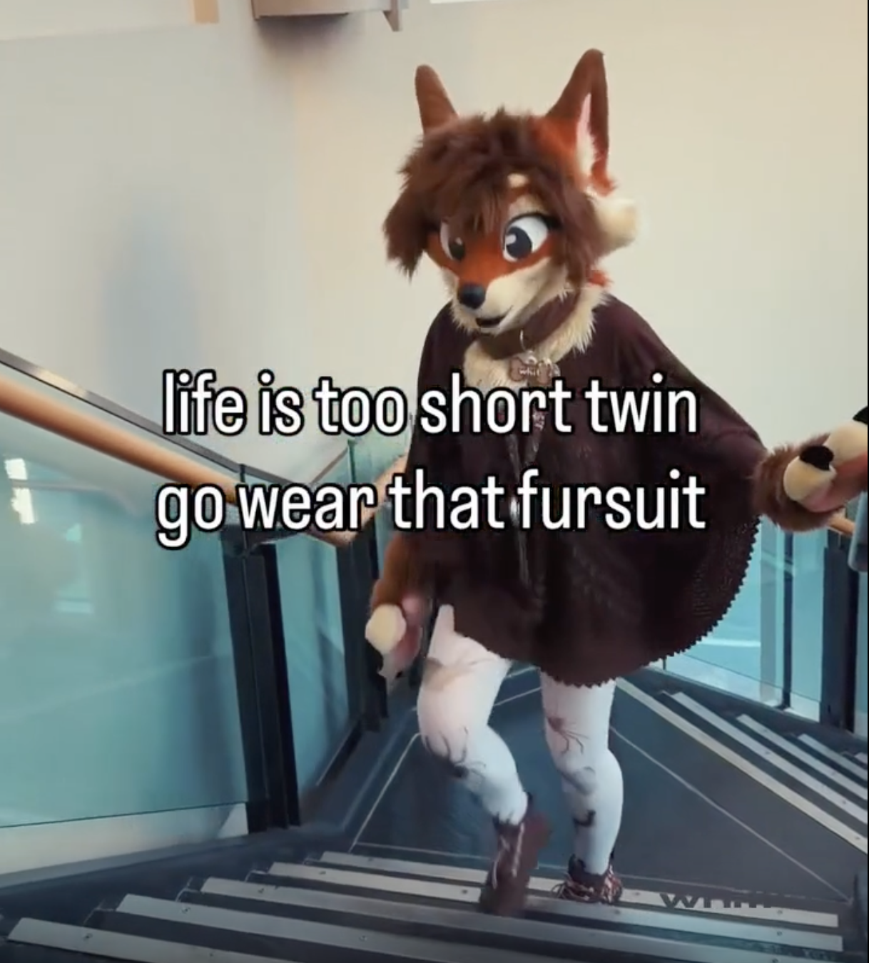 Fursuit wearers at a furry convention representing the diversity of the furry fandom community