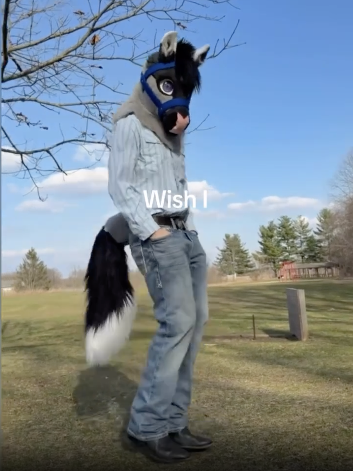 Fursuit wearers interacting at a convention, illustrating the social liberation fursuiting provides