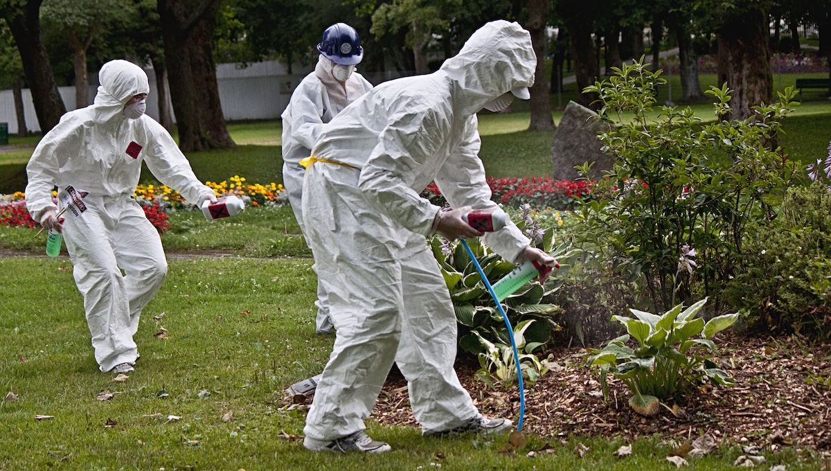 Agricultural workers in full protective equipment spraying glyphosate herbicide on crops